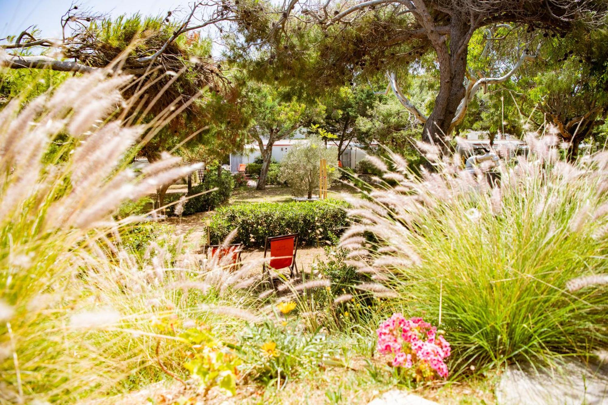 Camping Village Baia Falcone Vieste Eksteriør billede