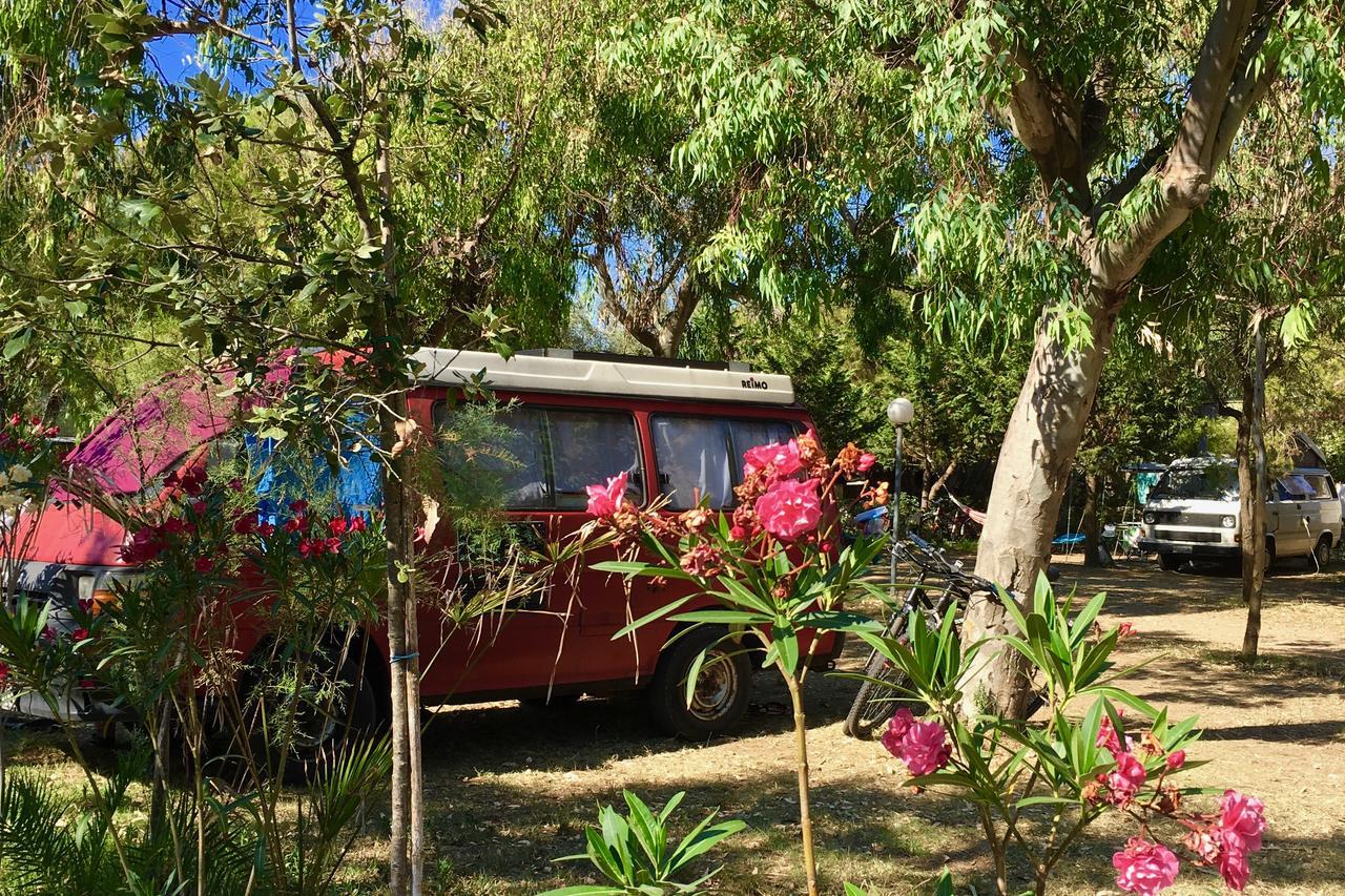 Camping Village Baia Falcone Vieste Eksteriør billede